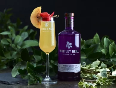 Rhubarb Pie Fizz 800