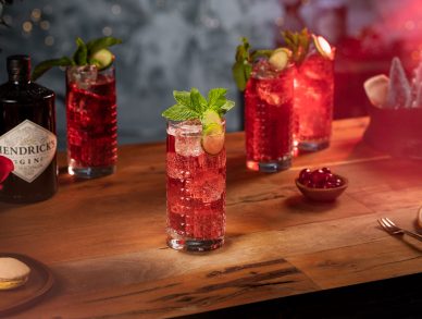 Lifestyle Hendricks Cranberry Fizz
