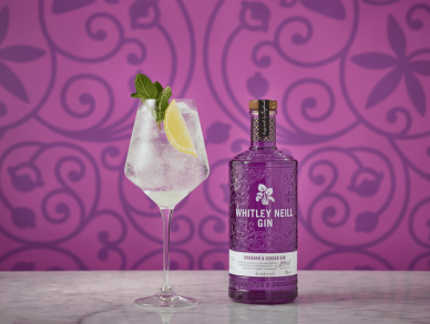 WN Rhubarb Ginger Ginsecco Cocktail 1