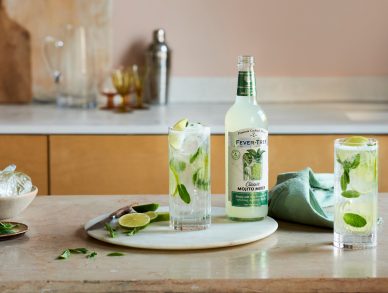Fevertree 500ml Mojito compressed